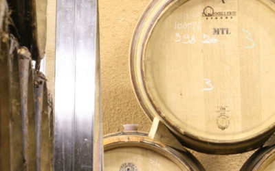 Le bois et le vin : une rencontre qui change tout