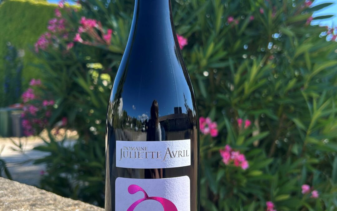 Et si votre vin de l’été était… un Côtes du Rhône ?