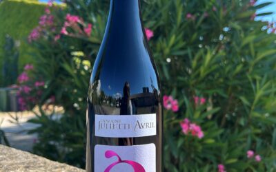 Et si votre vin de l’été était… un Côtes du Rhône ?