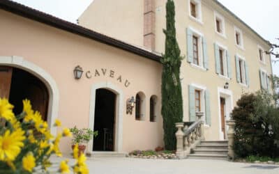 5 bonnes résolutions vin pour bien commencer l’année 2025