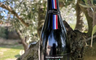 L’Or Vert de Juliette : Notre Toute Première Édition d’Huile d’Olive est Arrivée !